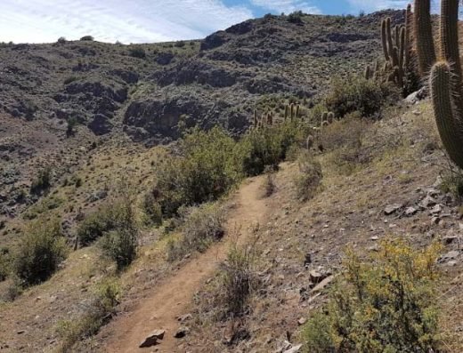 Parque San Carlos de Apoquindo