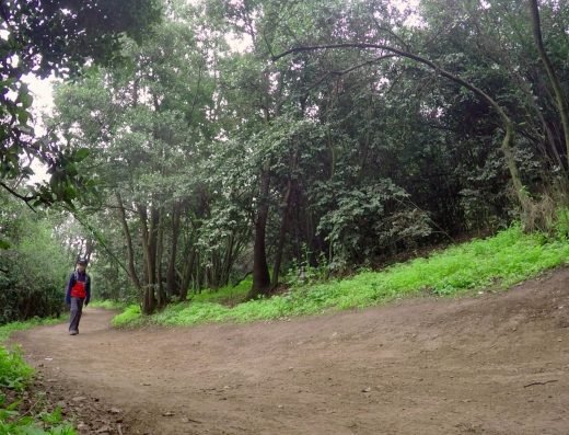 Aguas del Maqui | 12.5K